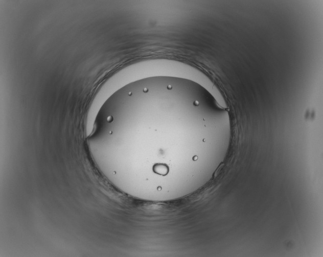X0000110700325200907101227