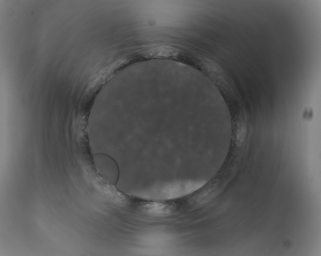 X0000110700326200907101227