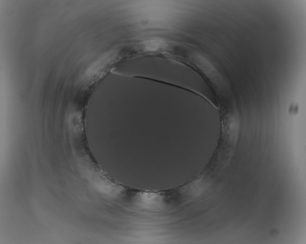 X0000110700327200907101227