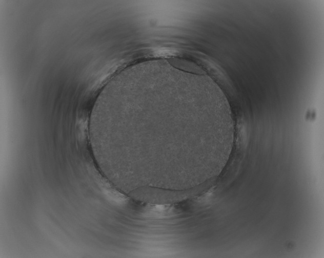 X0000110700329200907101227