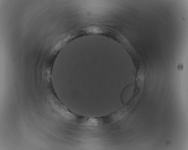 X0000110700330200907101227