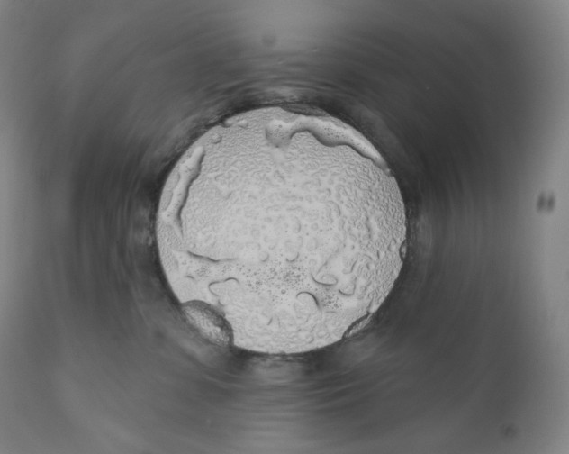 X0000110700331200907101227