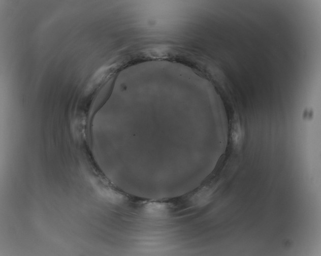 X0000110700332200907101227