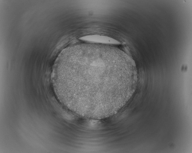 X0000110700333200907101227