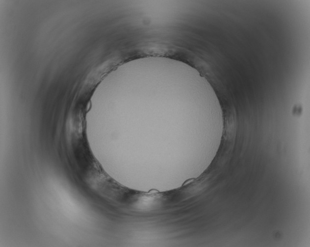 X0000110700334200907101227