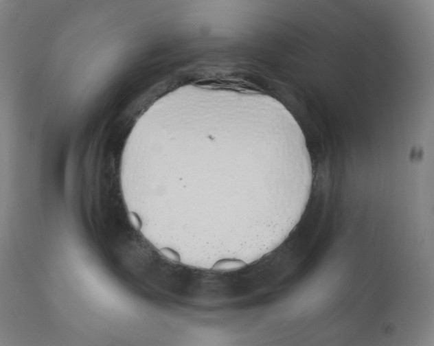 X0000110700335200907101227