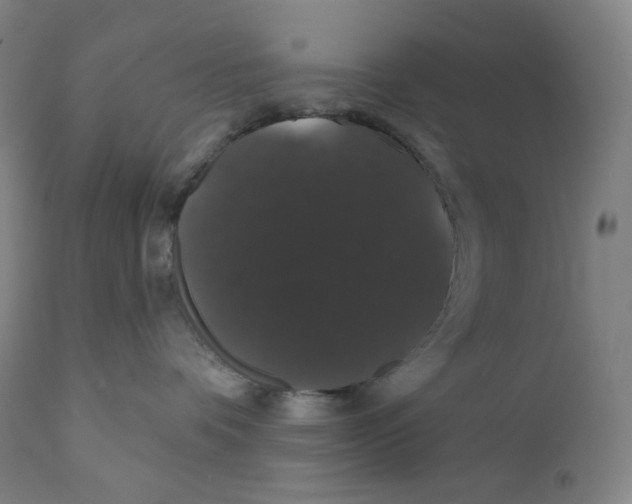 X0000110700336200907101227