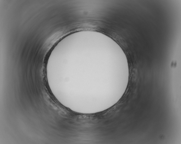 X0000110700338200907101226
