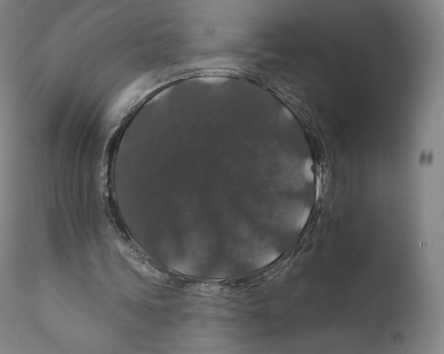 X0000110700339200907101226