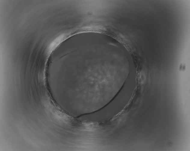 X0000110700340200907101226