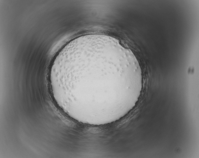 X0000110700341200907101226