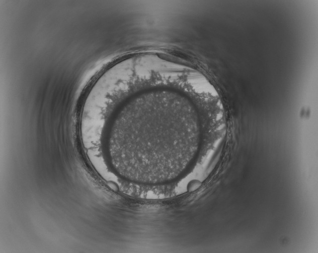 X0000110700342200907101226