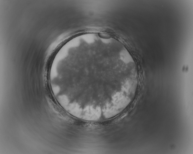 X0000110700343200907101226
