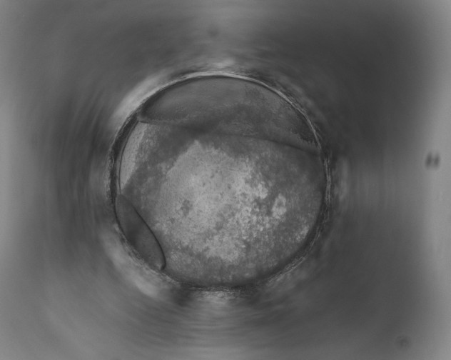 X0000110700344200907101226