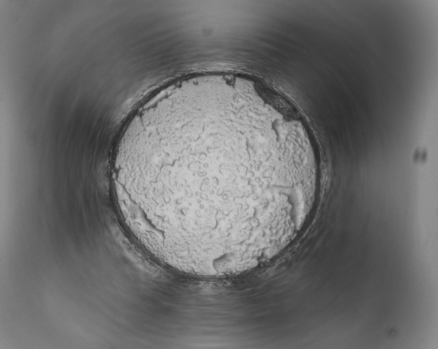 X0000110700345200907101226