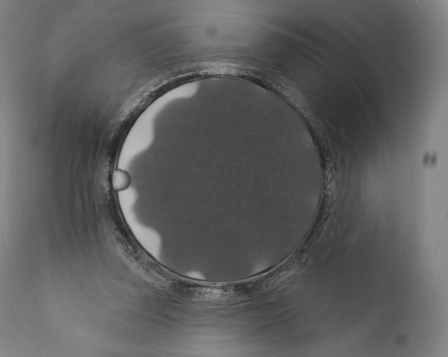 X0000110700347200907101226