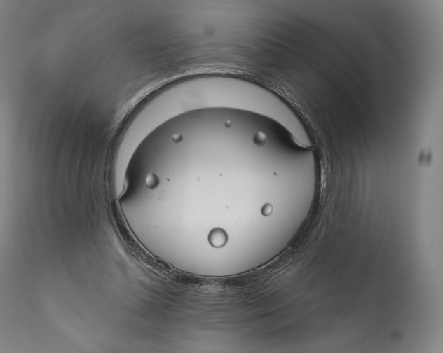 X0000110700348200907101226