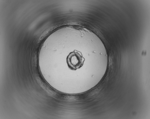X0000110700349200907101226