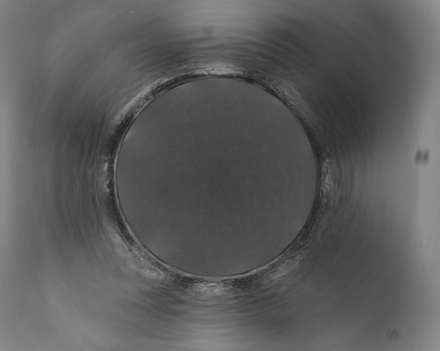 X0000110700351200907101226