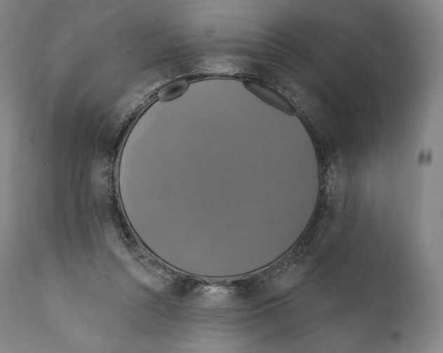 X0000110700352200907101226