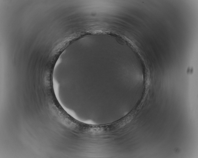 X0000110700353200907101226