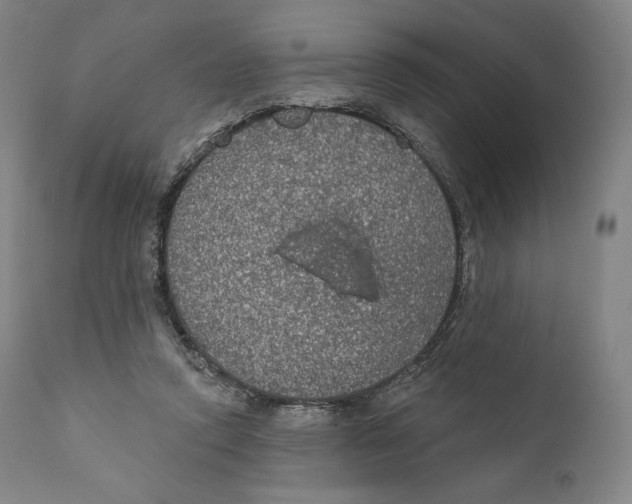 X0000110700354200907101226