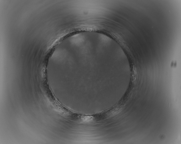 X0000110700355200907101226