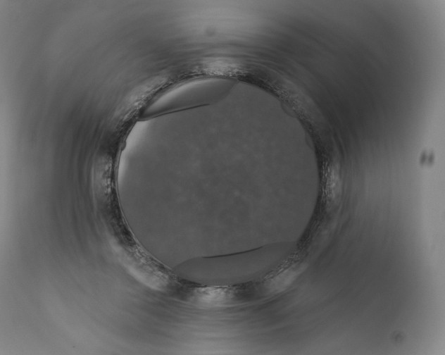 X0000110700356200907101226