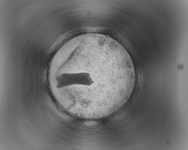 X0000110700357200907101226