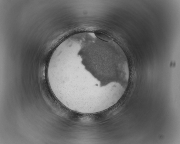 X0000110700358200907101226
