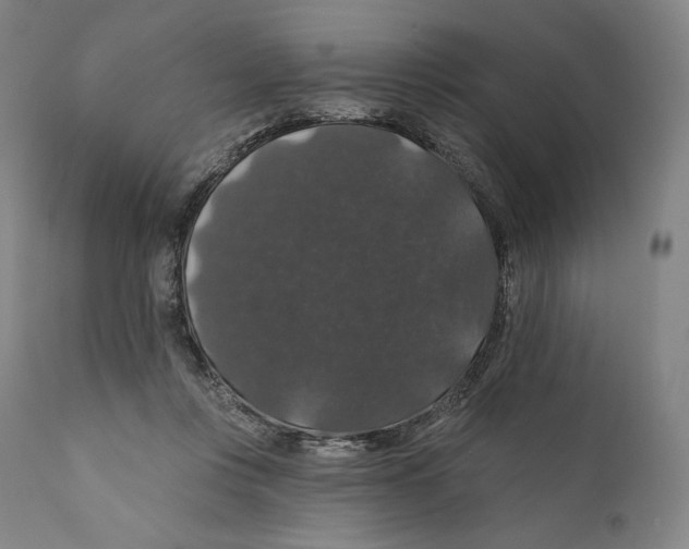 X0000110700359200907101226