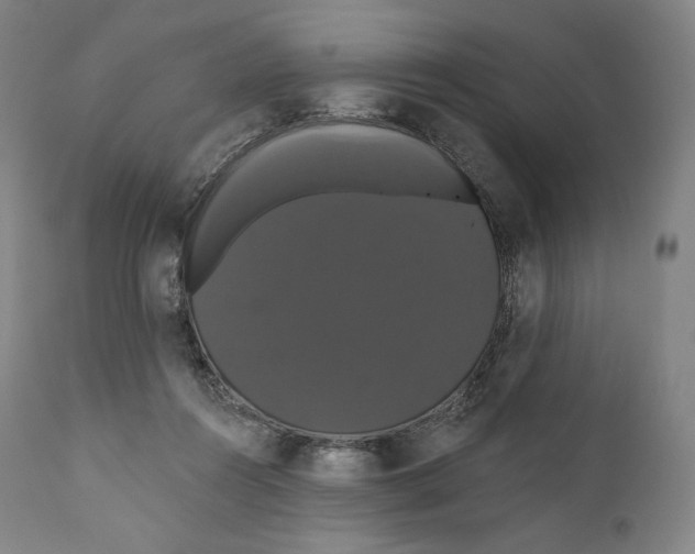 X0000110700360200907101226