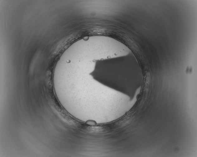 X0000110700361200907101226