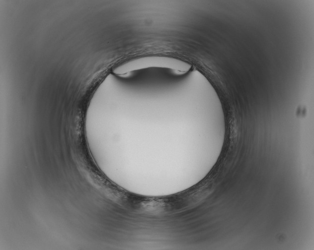 X0000110700362200907101226