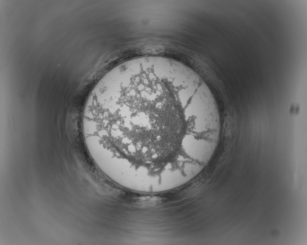 X0000110700363200907101226