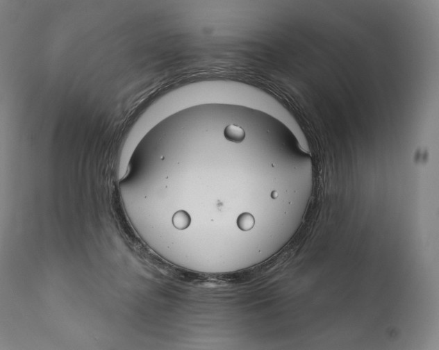 X0000110700364200907101226