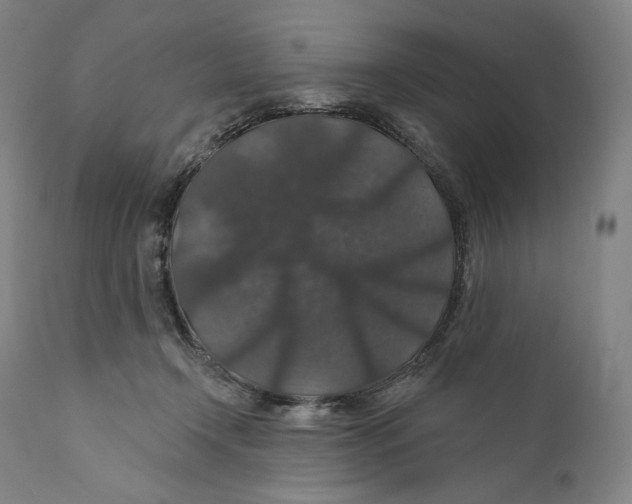 X0000110700366200907101226
