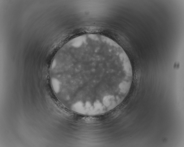 X0000110700367200907101226