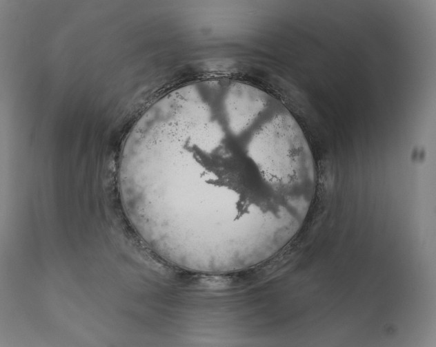 X0000110700369200907101226