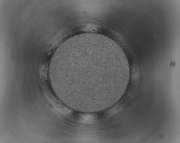 X0000110700370200907101226