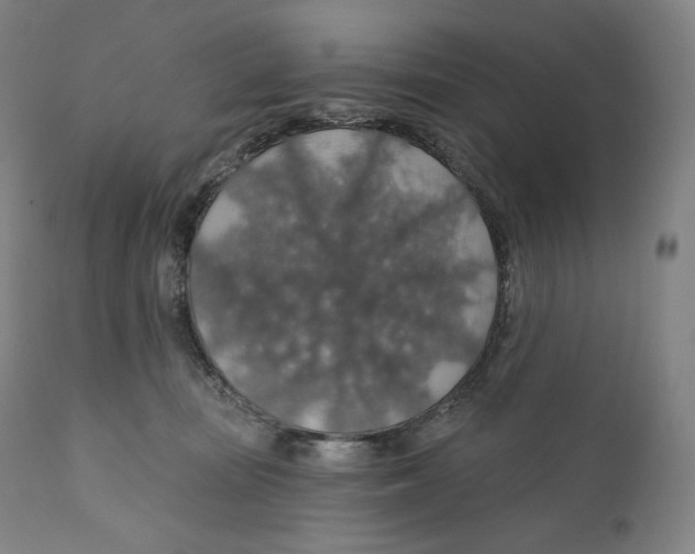 X0000110700371200907101226
