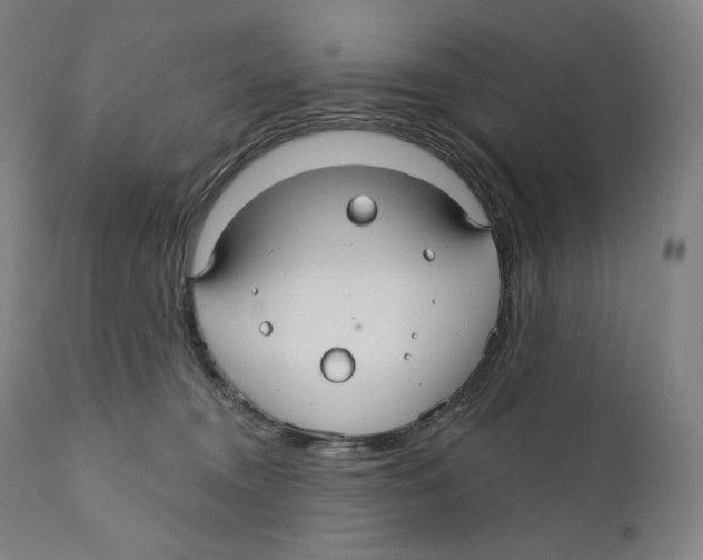 X0000110700372200907101226
