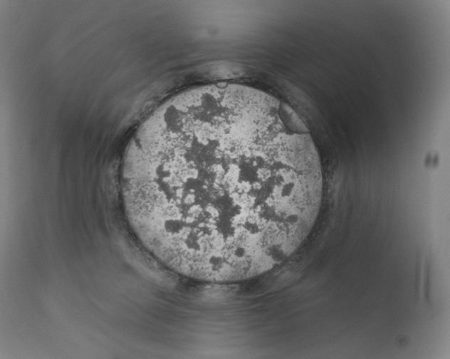 X0000110700373200907101226