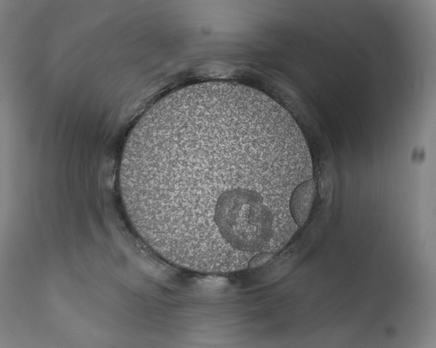 X0000110700374200907101226