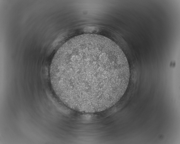 X0000110700375200907101226