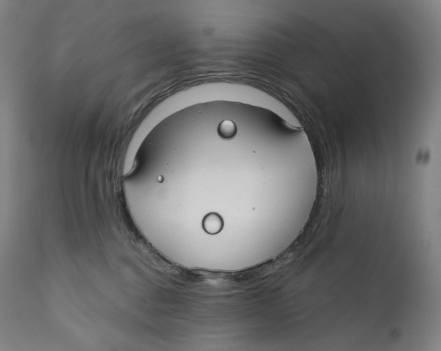 X0000110700376200907101227
