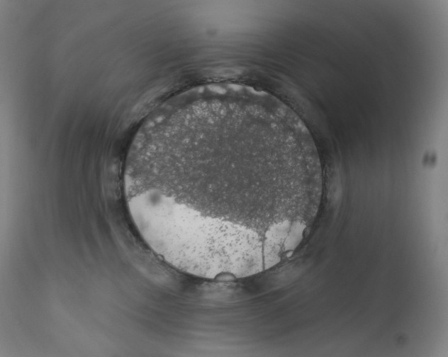 X0000110700378200907101227