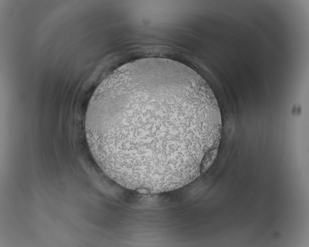 X0000110700379200907101227