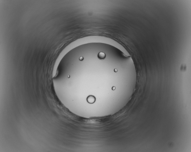 X0000110700380200907101227