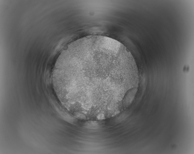 X0000110700381200907101227